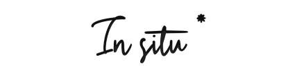 Logo text: 'In situ' with asterisk